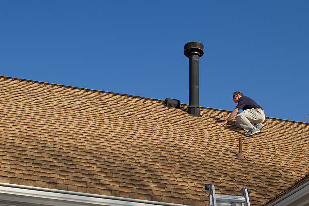 Best Roof Moss and Algae Removal  in Fayette, MS